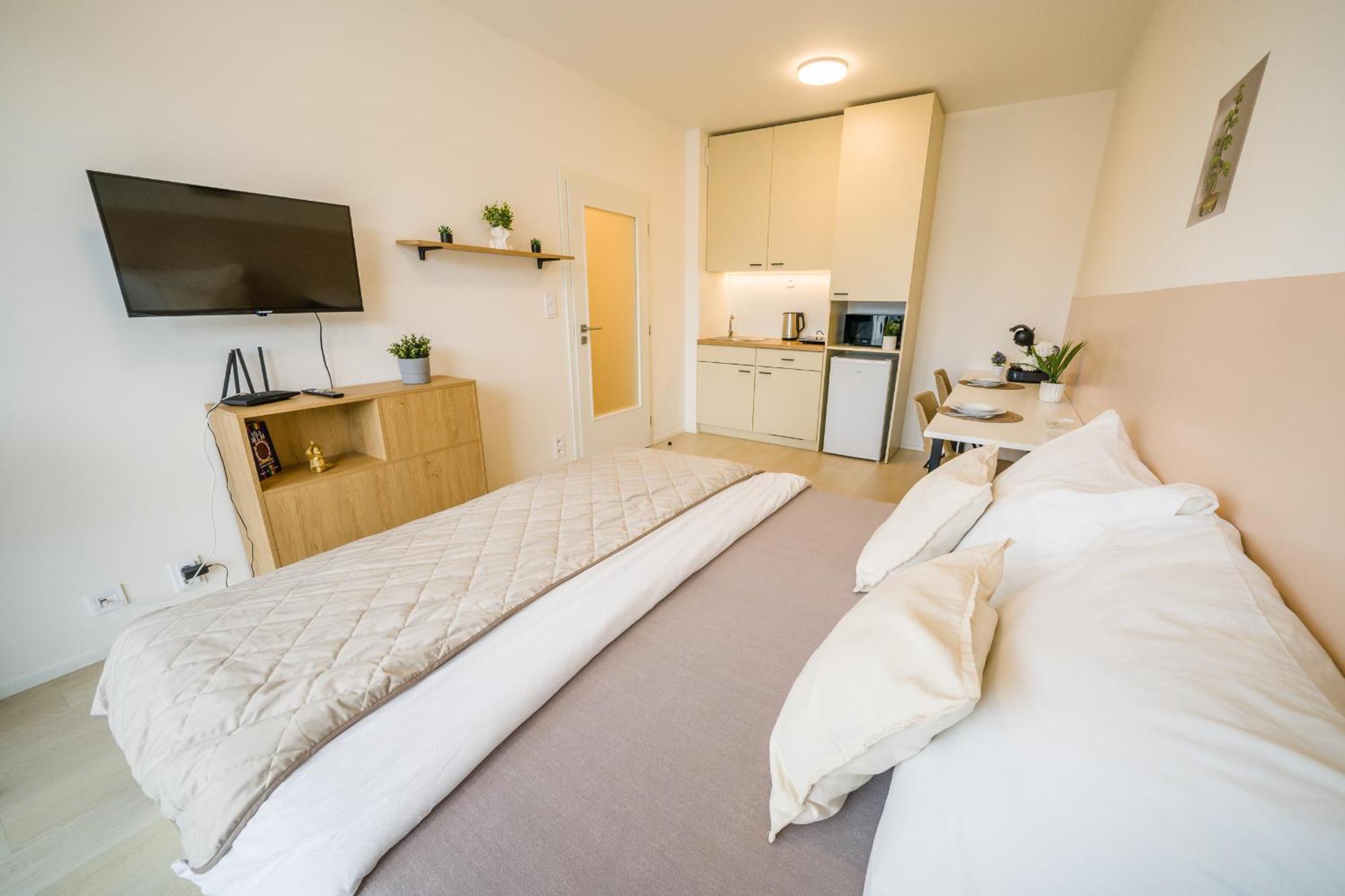 Street Apartments Brno Center Экстерьер фото